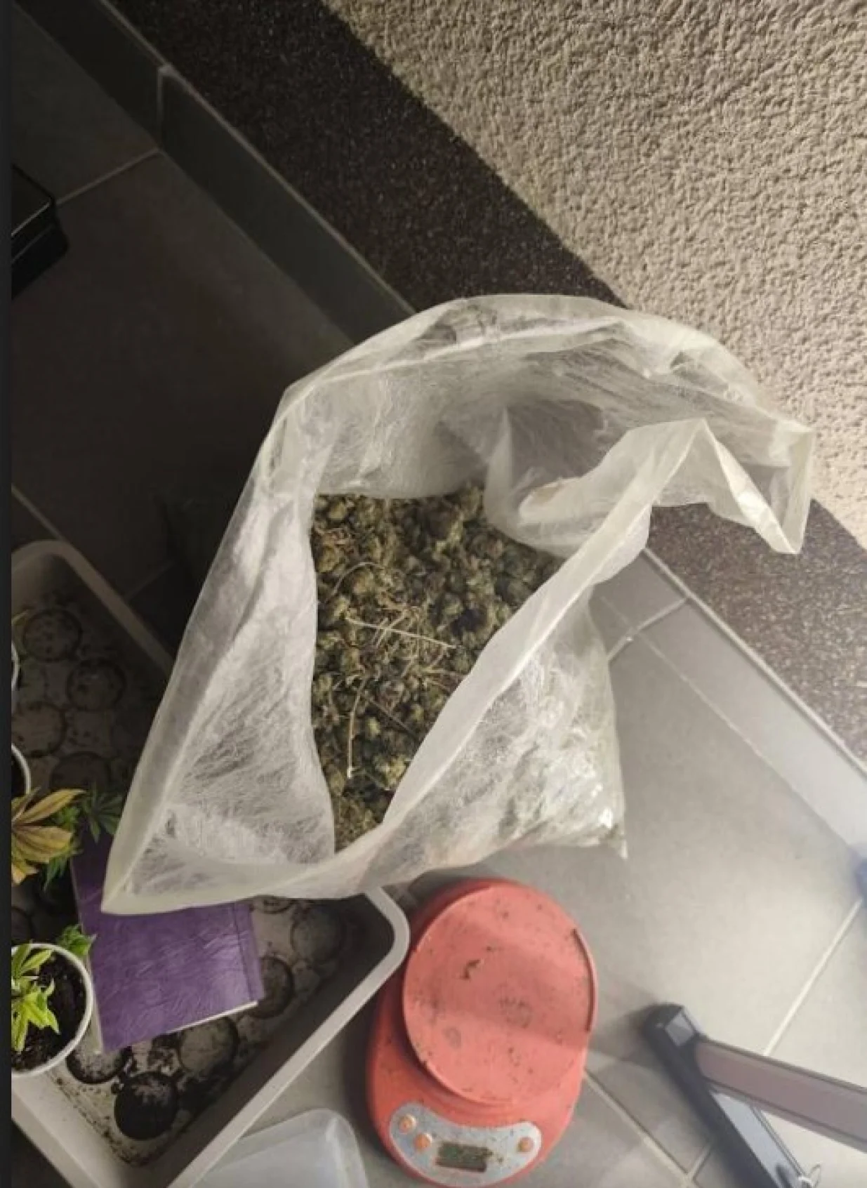 Akcija Black Widow; na području Ilidže pronađena kompletna indoor laboratorija za uzgoj i proizvodnju opojne droge marihuana, sa više od 300 stabljika//