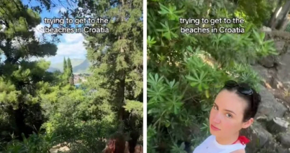 TikTok/ Screenshot/Tiktok