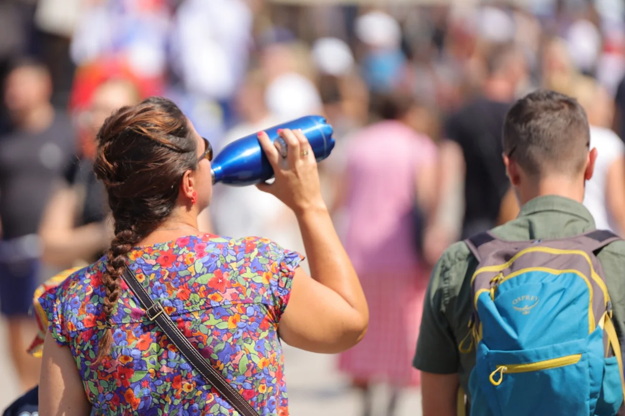 Vrućine ilustracije/Senad Gubelić