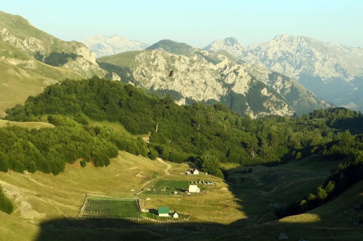 planina Zelengora/Muhamed Tunović