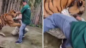 Srećom, izbjegnuta je tragedija/X