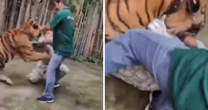 Srećom, izbjegnuta je tragedija/X