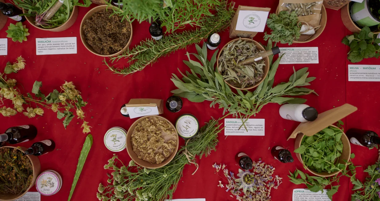 Ljekovito bilje, izložba/