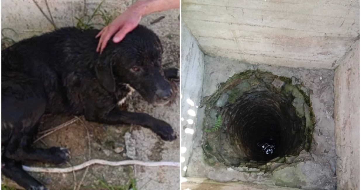 Intervenirali vatrogasci/Facebook/VSB Banja Luka/Vsb Banja Luka