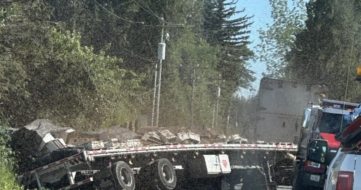 Prevrnuo se kamion sa košnicama/X.com//