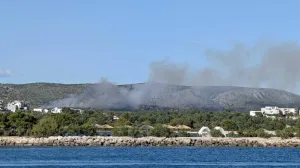 Izbio požar/Šibenski.hr//
