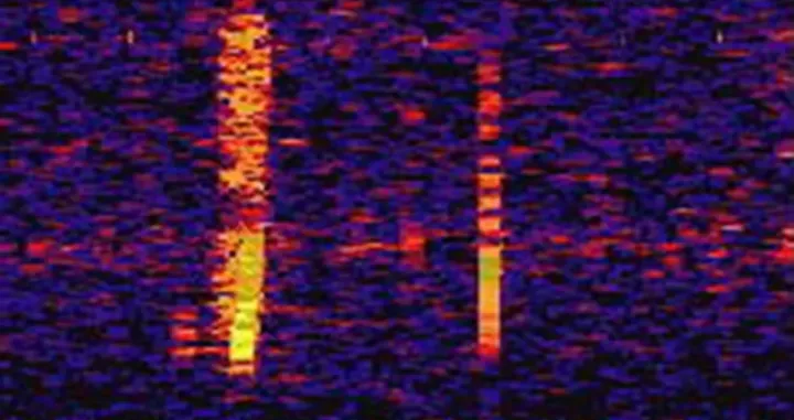 Zvuk koji je zbunio ali i preplašio mnoge/Noaa 