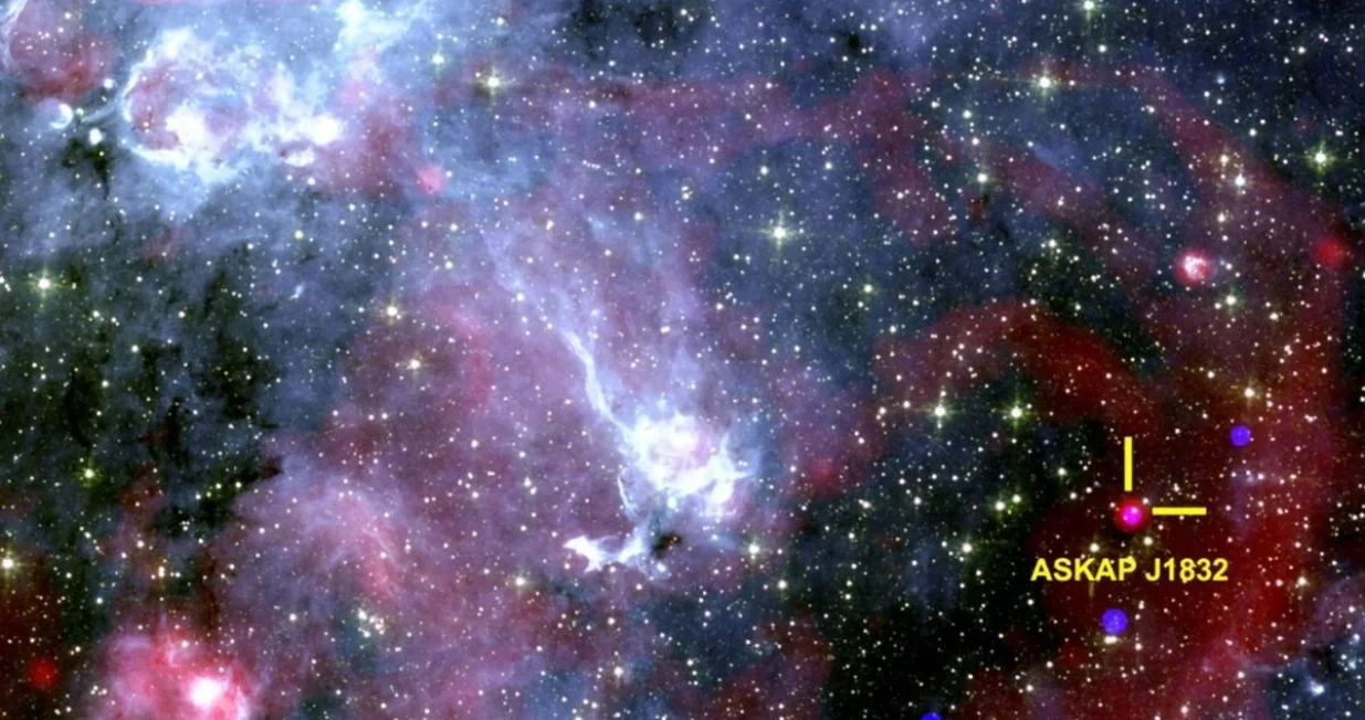 Nevjerovatno otkriće/Foto: Ziteng (andy) Wang/icrar