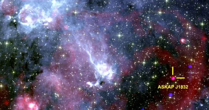 Nevjerovatno otkriće/Foto: Ziteng (andy) Wang/icrar