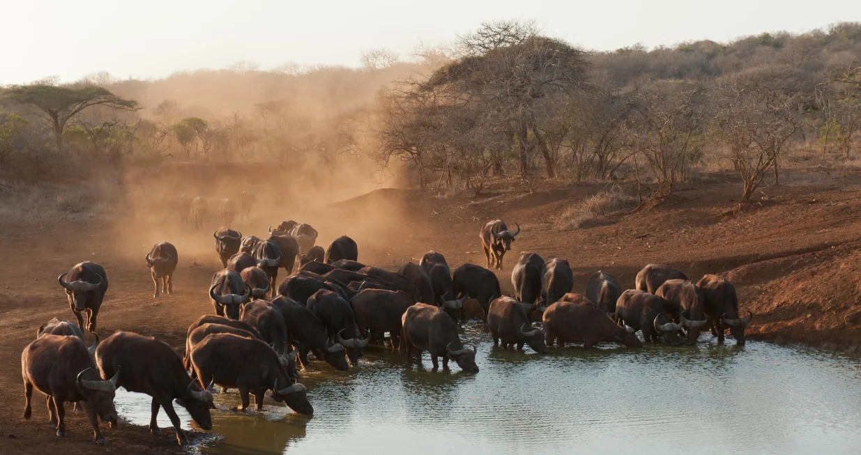 Ilustracija/Pixabay.com