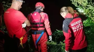 Alarmirani spasioci/HGSS//