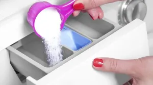 Perete veš godinama, ali ovo većina nije znala/Freepik