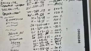 Autobusi, strijeljanje, genocid u Srebrenici/X.com 