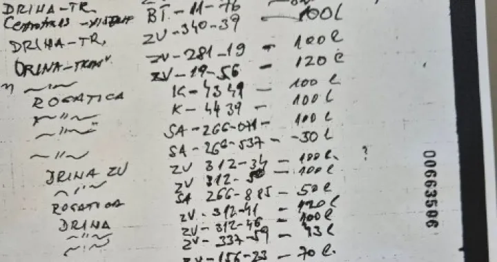 Autobusi, strijeljanje, genocid u Srebrenici/X.com 
