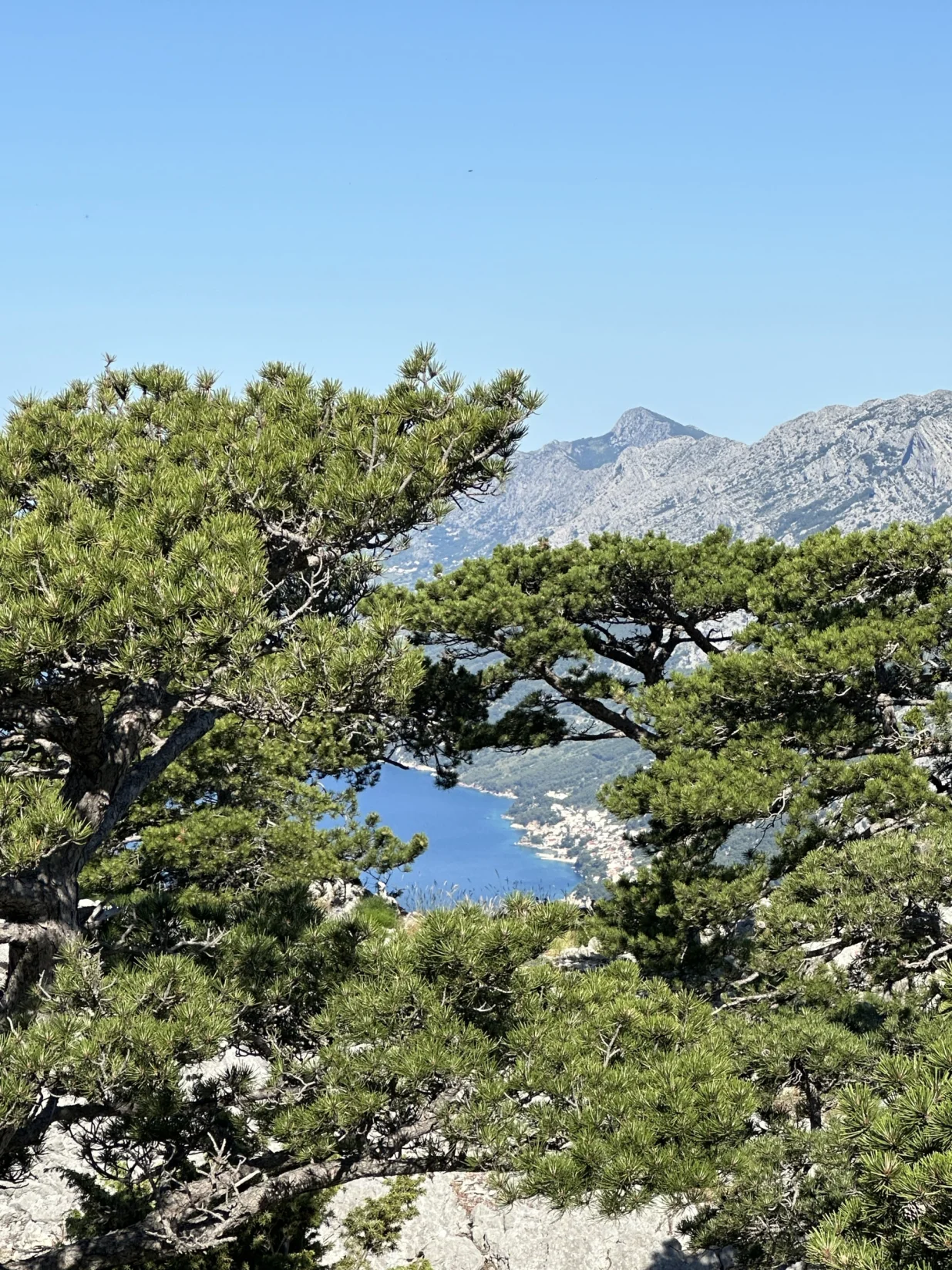 Pakline, Biokovo/Oslobođenje