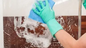 Prirodno rješenje protiv kamenca/Pinterest