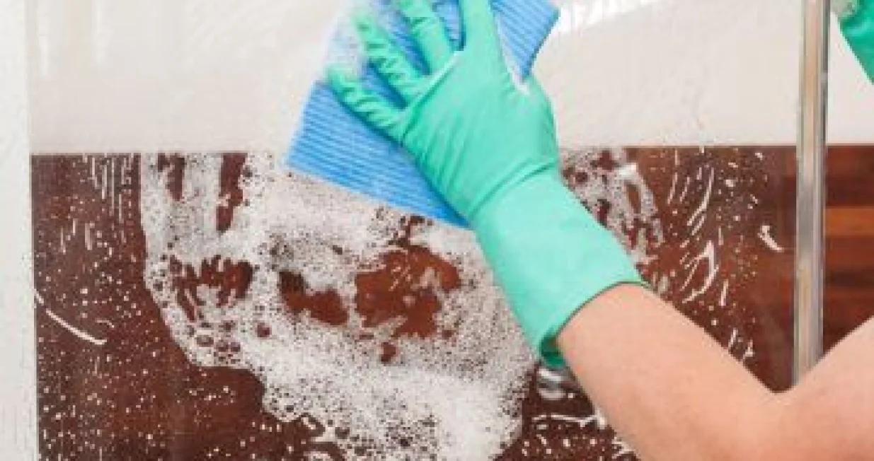 Prirodno rješenje protiv kamenca/Pinterest