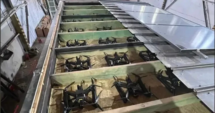 paukova mreža, ukrajina, rat, rusija/