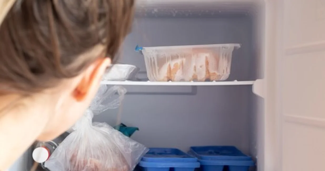 odmrznuti komad mesa/