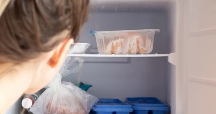 odmrznuti komad mesa/