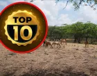 Top 10/