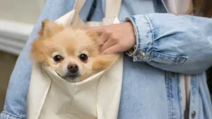 Svi imaju jednu zajedničku crtu/Freepik