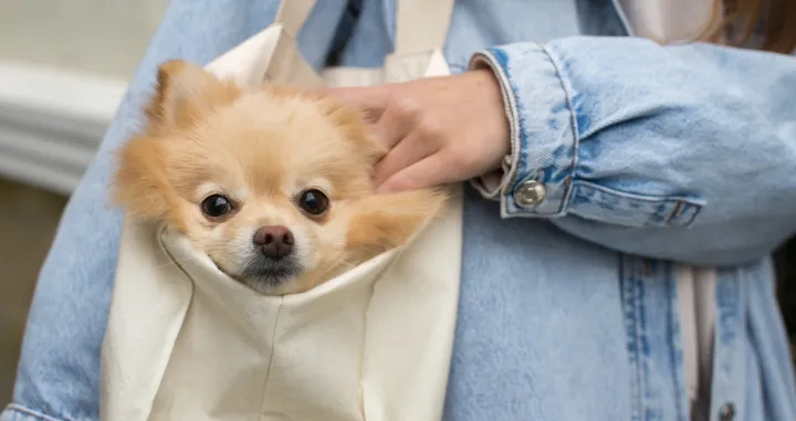 Svi imaju jednu zajedničku crtu/Freepik