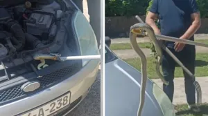 Screenshot/ Facebook/