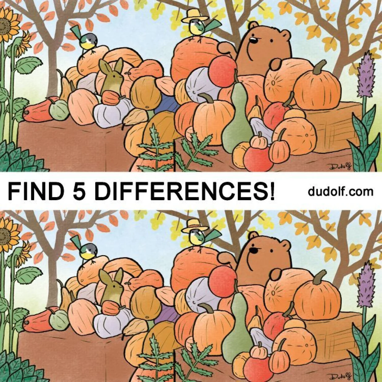 Pronađite pet razlika//