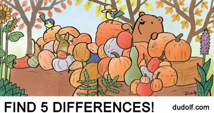 Pronađite pet razlika//