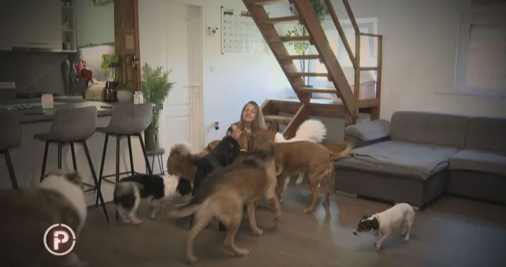 Gloria Malin, vlasnica udruge S-PAS/Provjereno, Dnevnik.hr