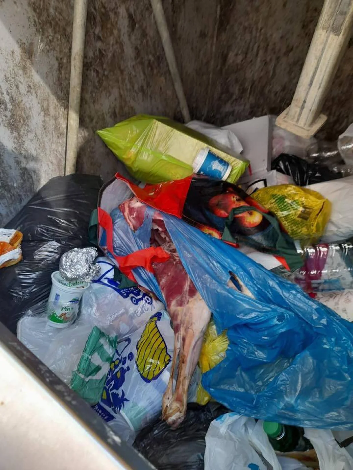 Komad kurbana u kontejneru/Kjkp Rad