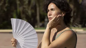 Toplotni udar ne dolazi iznenada/Freepik