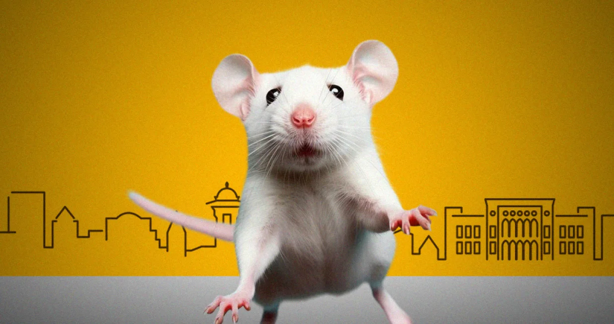 Kolumna Vildane Selimbegović: Kad miševi kolo vode/Ilustracija/Benjamin Krnić