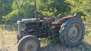 Traktor Ferguson/Goran Dakić