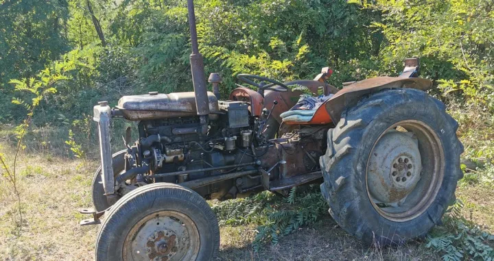 Traktor Ferguson/Goran Dakić