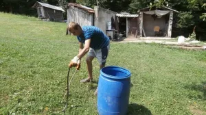 Zmije izlaze iz skloništa/Nezavisne/Arhiva//