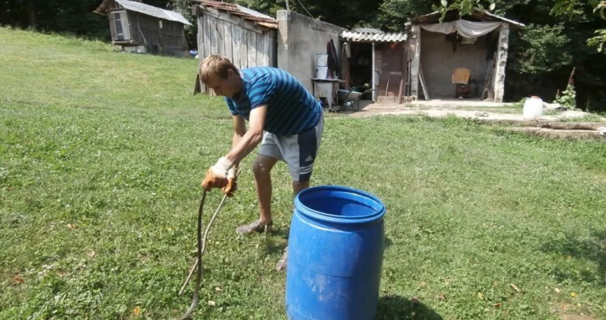 Zmije izlaze iz skloništa/Nezavisne/Arhiva//