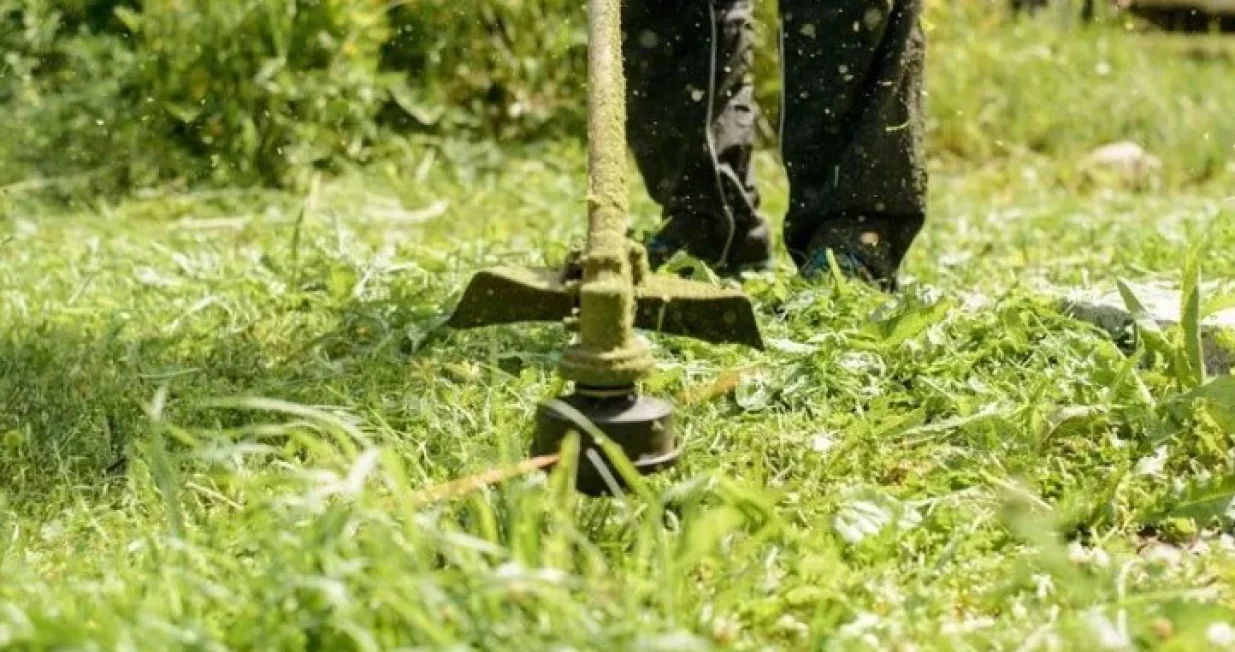 Žrtvu napao trimerom/Ilustracija/Agencije//