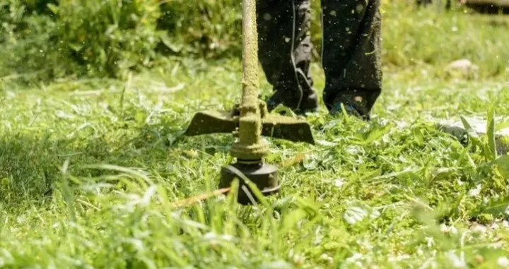 Žrtvu napao trimerom/Ilustracija/Agencije//