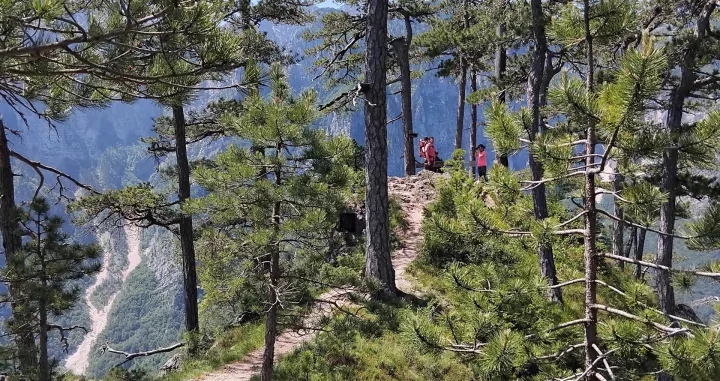 Vidikovac iznad planinarske kuće Žlijeb/Oslobođenje