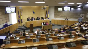 Sjednica Doma naroda Parlamenta Federacije Bosne i Hercegovine/Senad Gubelić