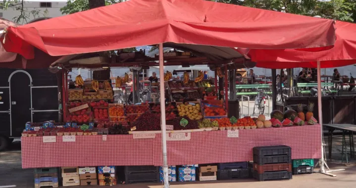 Pijaca u Ljubljani/Sanel Konjhodžić