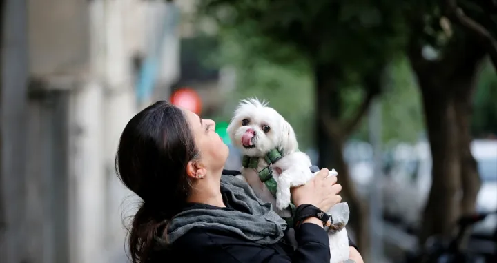 Proširena zabrana/Anadolija//