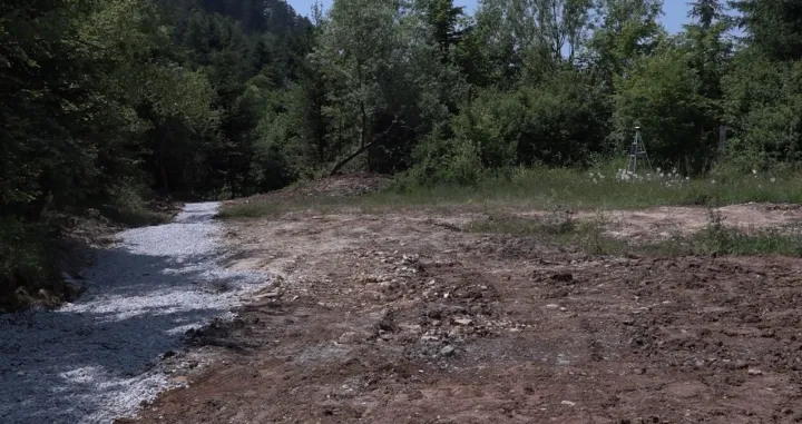 Curine njive hitne mjere/Samir Hasanbegović