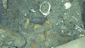 Kraljevsko blago iz potonule galije otkriveno nakon više od 300 godina/