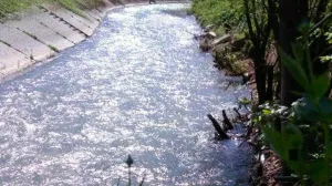 Rijeka Jadar/Ilustracija/Facebook//