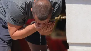 Vrućine ilustracije/Senad Gubelić