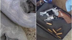 Pronađena droga i oružje/PU Doboj/