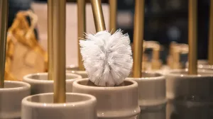 Pravilno čišćenje WC četke u 3 koraka/Free Pik